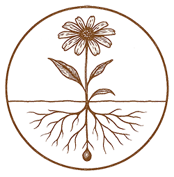 Field Studies Sanctuary Official Icon 250