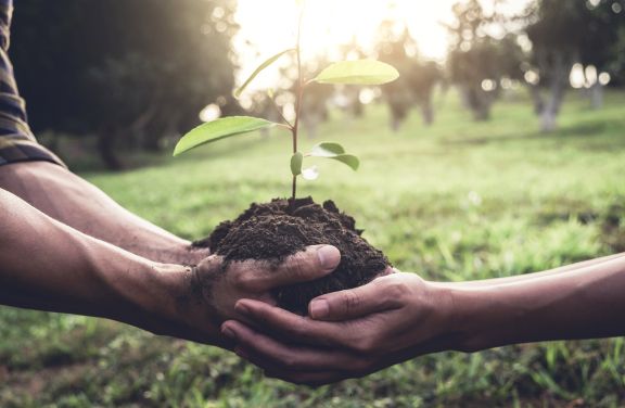 Growing Together