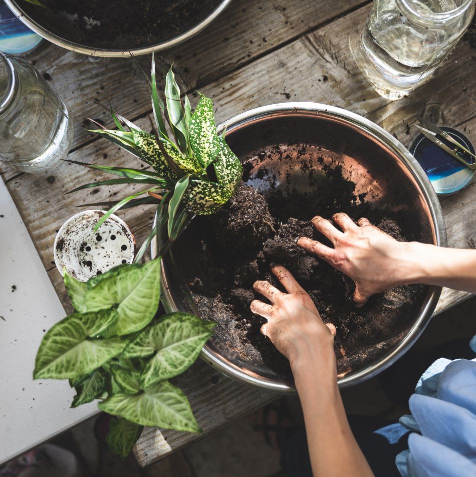 Planting Soil