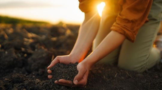 Rooted in Community