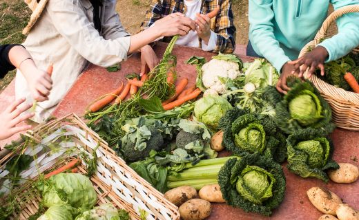 farm to table