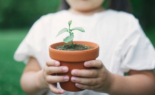 learning to plant