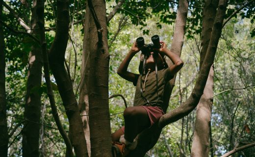 safari fun times