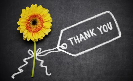 Yellow gerbera daisy with a handwritten “Thank You” tag on a chalkboard background