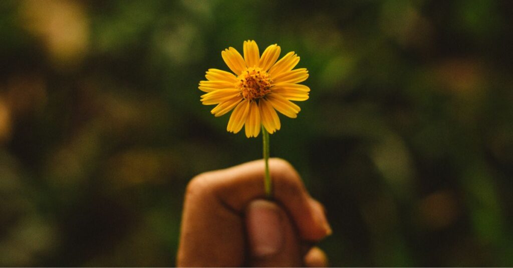 A hand holding a small yellow flower, symbolizing simple, sustaining care and gentle attention.