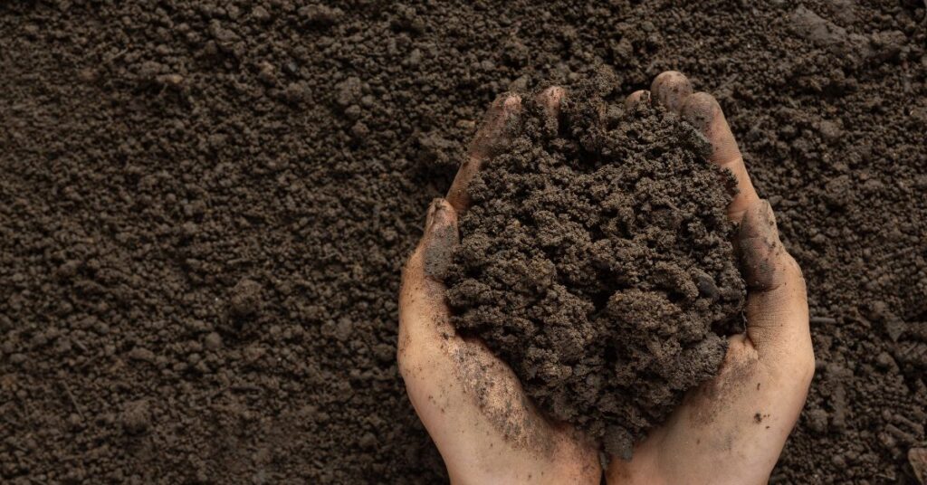 Hands holding rich soil, representing readiness, care, and preparation beneath the surface.