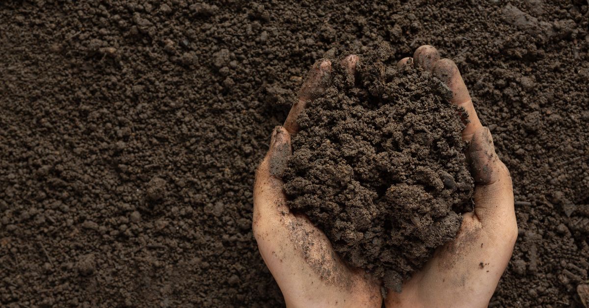 Hands holding rich soil, representing readiness, care, and preparation beneath the surface.