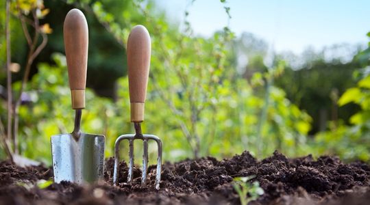 Garden tools in garden